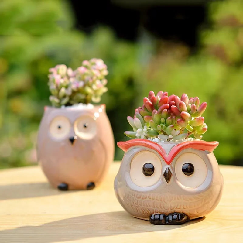 Mini Owl Ceramic Succulent Pot – Cute Animal Flower Pot for Desktop & Garden