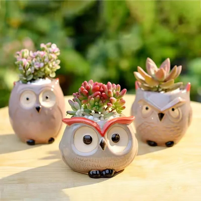 Mini Owl Ceramic Succulent Pot – Cute Animal Flower Pot for Desktop & Garden