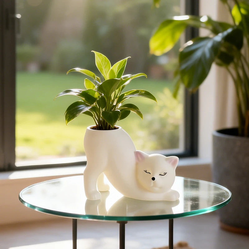 Curly Pose Cat Resin Planter – Cute Desktop Pot for Cacti & Trailing Plants