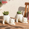 Curly Pose Cat Resin Planter – Cute Desktop Pot for Cacti & Trailing Plants