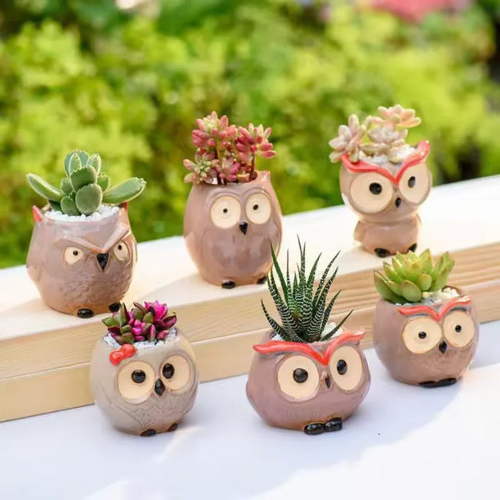 Mini Owl Ceramic Succulent Pot – Cute Animal Flower Pot for Desktop & Garden